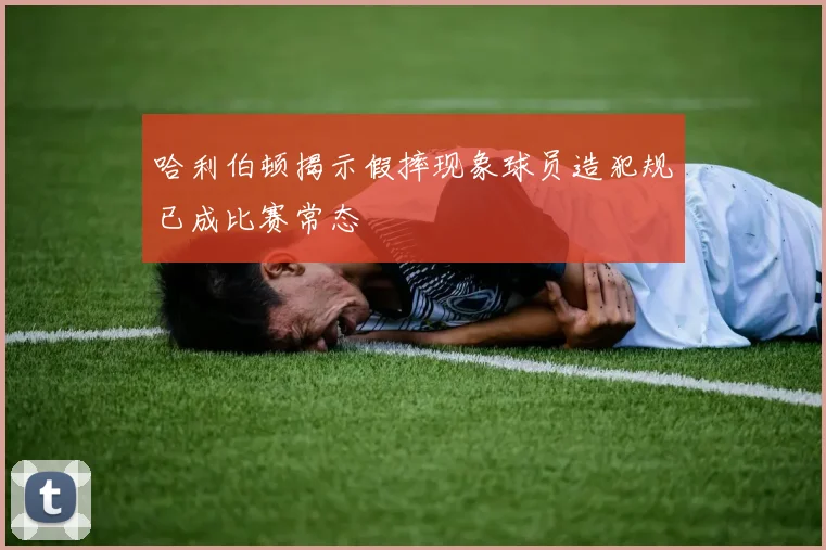 哈利伯顿揭示假摔现象球员造犯规已成比赛常态