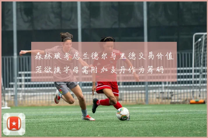 森林狼考虑兰德尔与里德交易价值若欲换字母需附加麦丹作为筹码