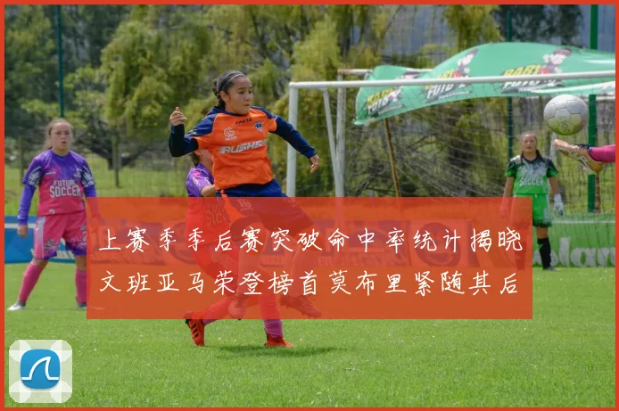 上赛季季后赛突破命中率统计揭晓文班亚马荣登榜首莫布里紧随其后